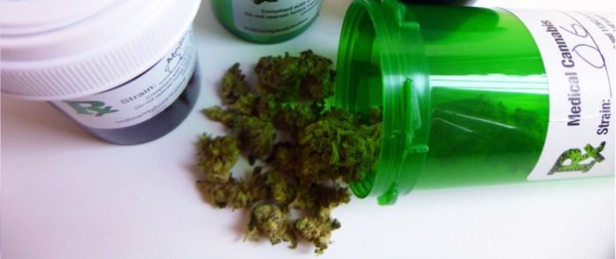 National Survey Examines Oncologists’ Practices, Beliefs on Medical Marijuana Use