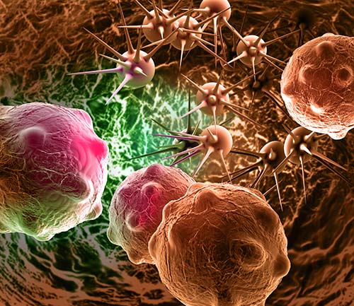 STING Activation Touted as Potential Immunotherapy for Cancer