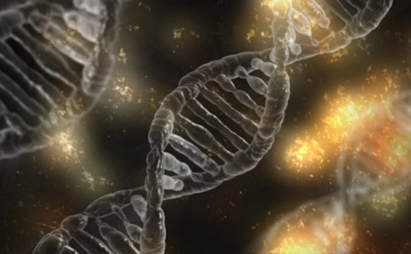 Halting Cancer by Halting DNA Repair