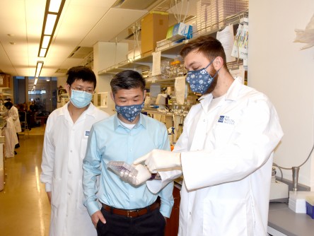 Dr. Rugang Zhang with two members of his lab.