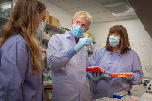 Simon Gayther, PhD, professor of Biomedical Sciences, and Michelle Jones, PhD, a research scientist in the Center for Bioinformatics and Functional Genomics, led the efforts on two new studies that help improve the understanding of ovarian cancer.