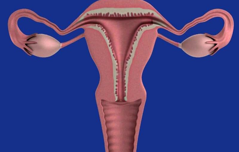 Ovarian cancer surveillance results in earlier diagnosis for women with faulty BRCA genes who want to defer surgery