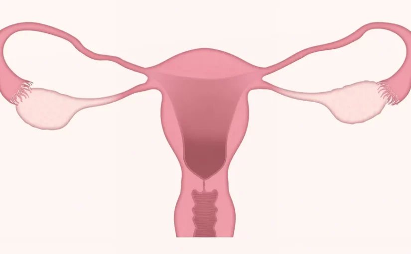 Genetic Test Identifies Ovarian Cancer Patients Likely To Benefit From PARP Inhibitors